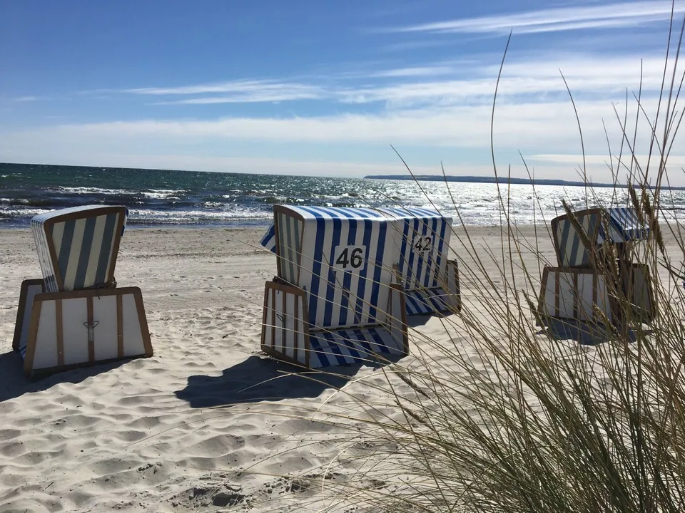 Blau-weiß gestreifte Strandkörbe auf hellem Sandstrand, im Vordergrund Strandhafer, dahinter die Ostsee und eine bewaldete Steilküste.